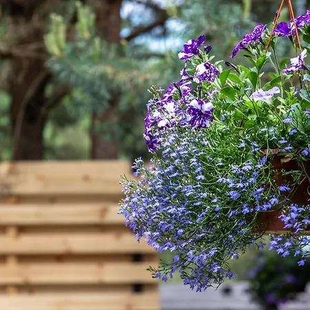 Апартаменты Don Vyto *