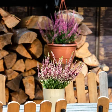 Don Vyto Апартаменты Друскининкай