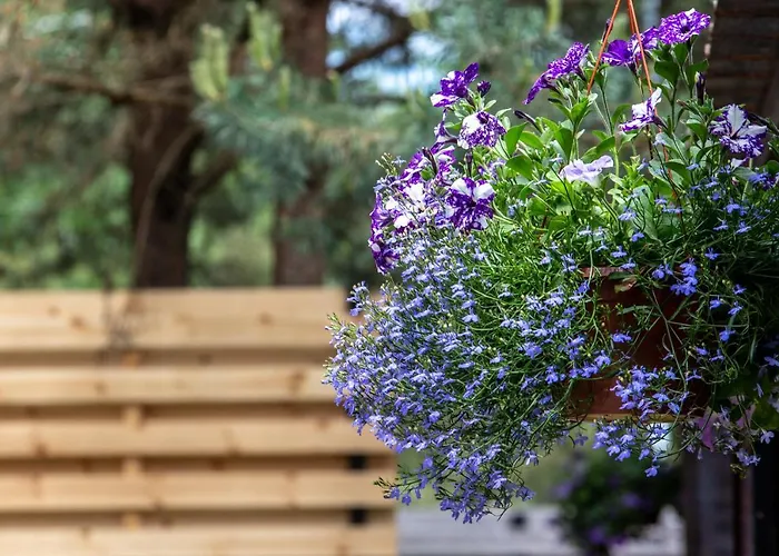 Apartment Don Vyto *