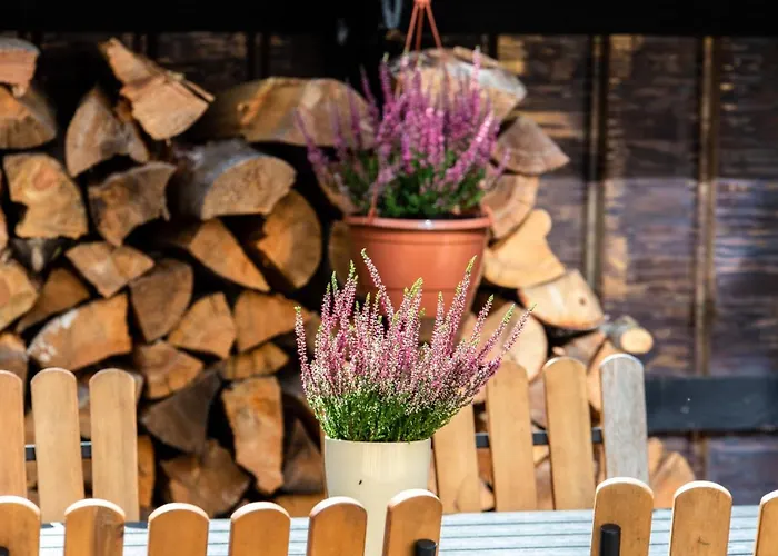 Don Vyto Apartment Druskininkai