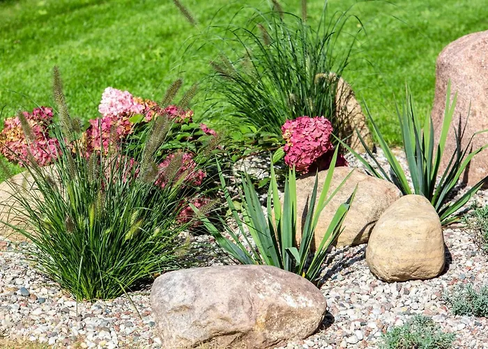 Apartment Don Vyto *